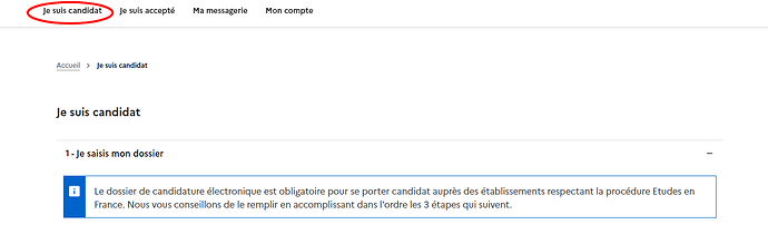 je suis candidat 2